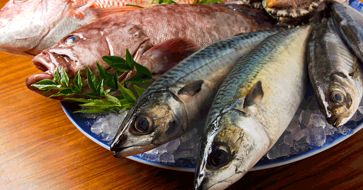 魚屋 網元