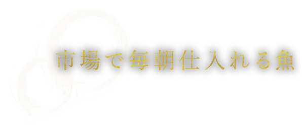 市場で毎朝仕入れる魚