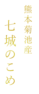 熊本菊池産 七城のこめ