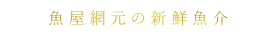 魚屋網元の新鮮魚介