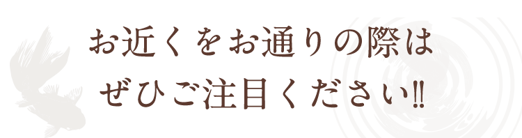 ぜひご注目ください!!