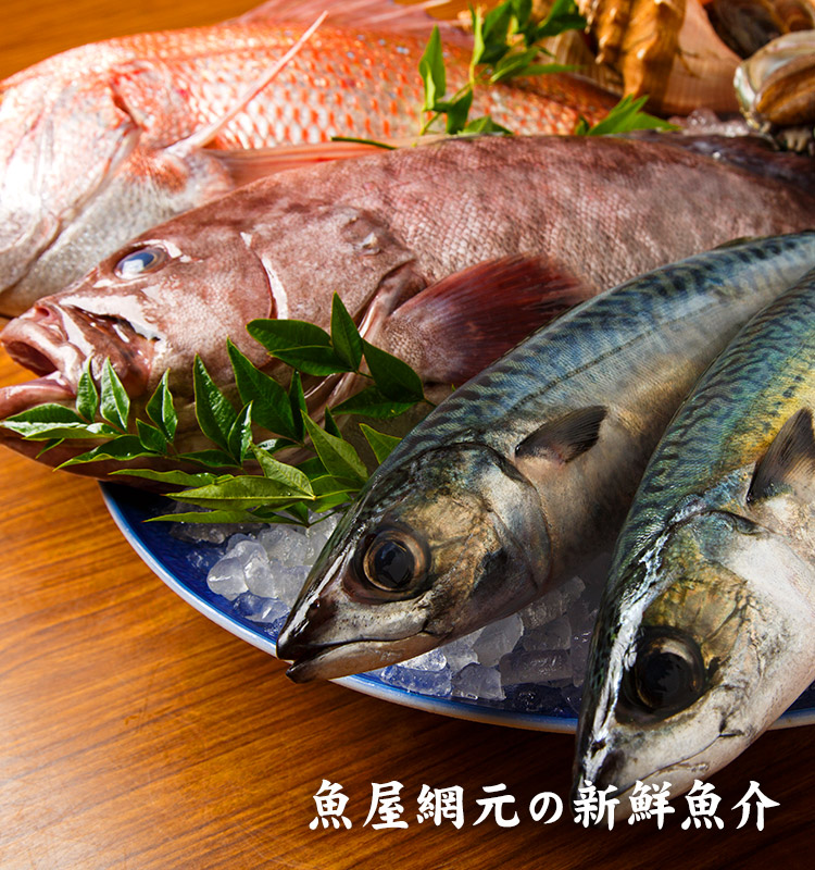 魚屋網元の新鮮魚介