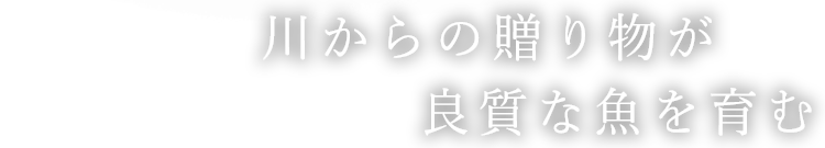 川からの贈り物が