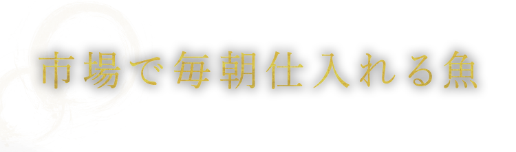 市場で毎朝仕入れる魚