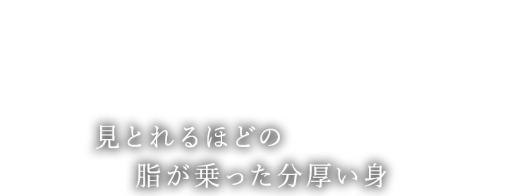 見とれるほどの